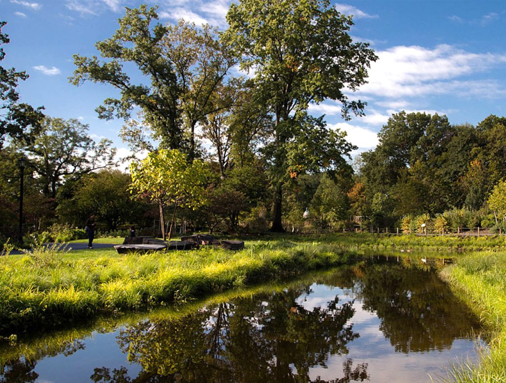 Brooklyn Botanic Garden 01