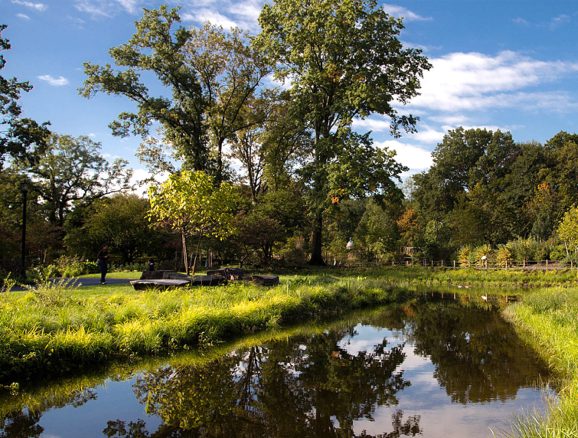 Brooklyn Botanic Garden