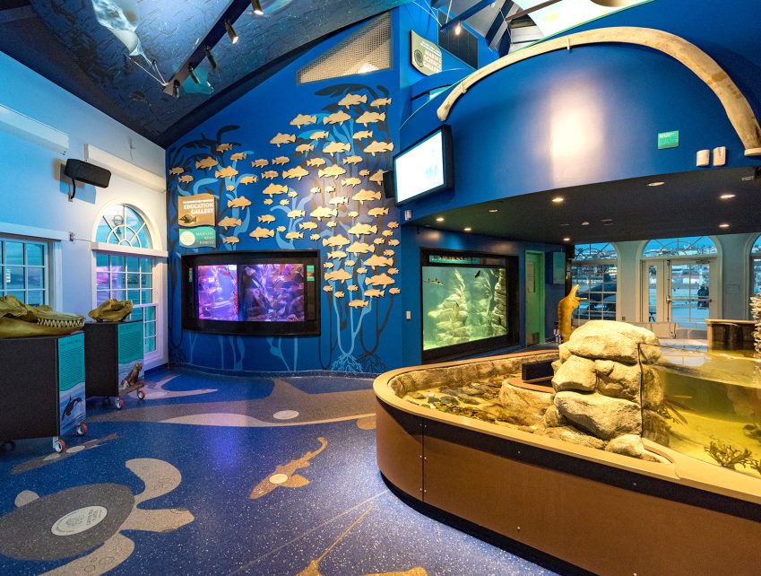 Roundhouse Aquarium 04
