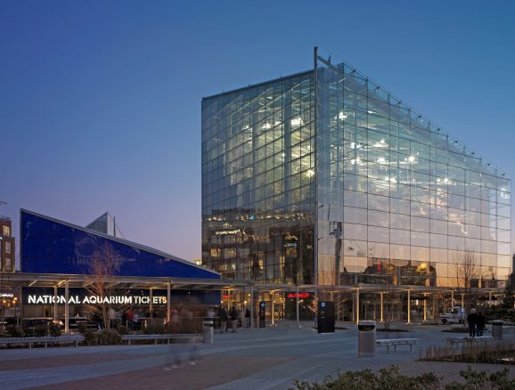 National Aquarium in Baltimore