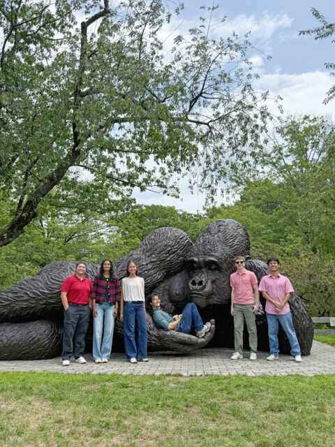 2026 Altieri Summer Interns Bruce Museum
